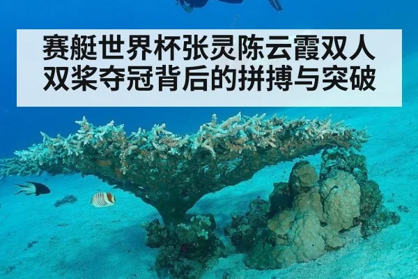赛艇世界杯张灵陈云霞双人双桨夺冠背后的拼搏与突破